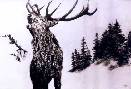 Painting of Elk Buck by Timothy Moore
